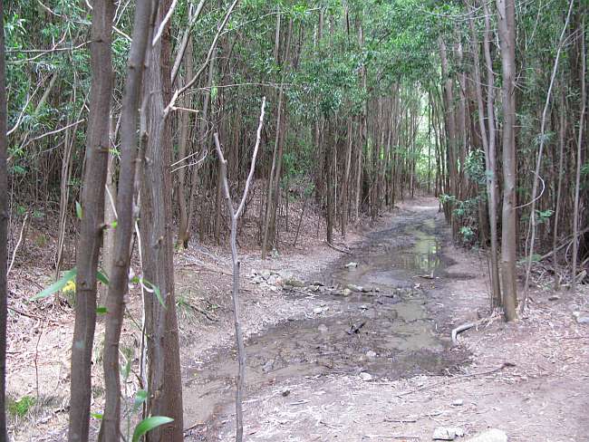 Ponte de Lima to Rubiães